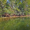 45Inf2011-10-29 13.35.14 : Lake Bastrop South Shore